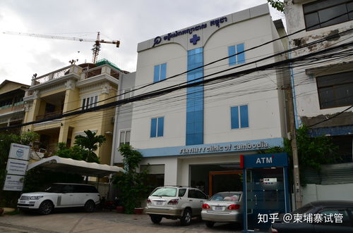 我在醫(yī)學會議上看到幾次rfg醫(yī)院的宣傳,去年去美國參加生殖醫(yī)學年會也看到,他們做海外試管嬰兒靠譜么